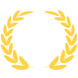 Best Web Design Agency
